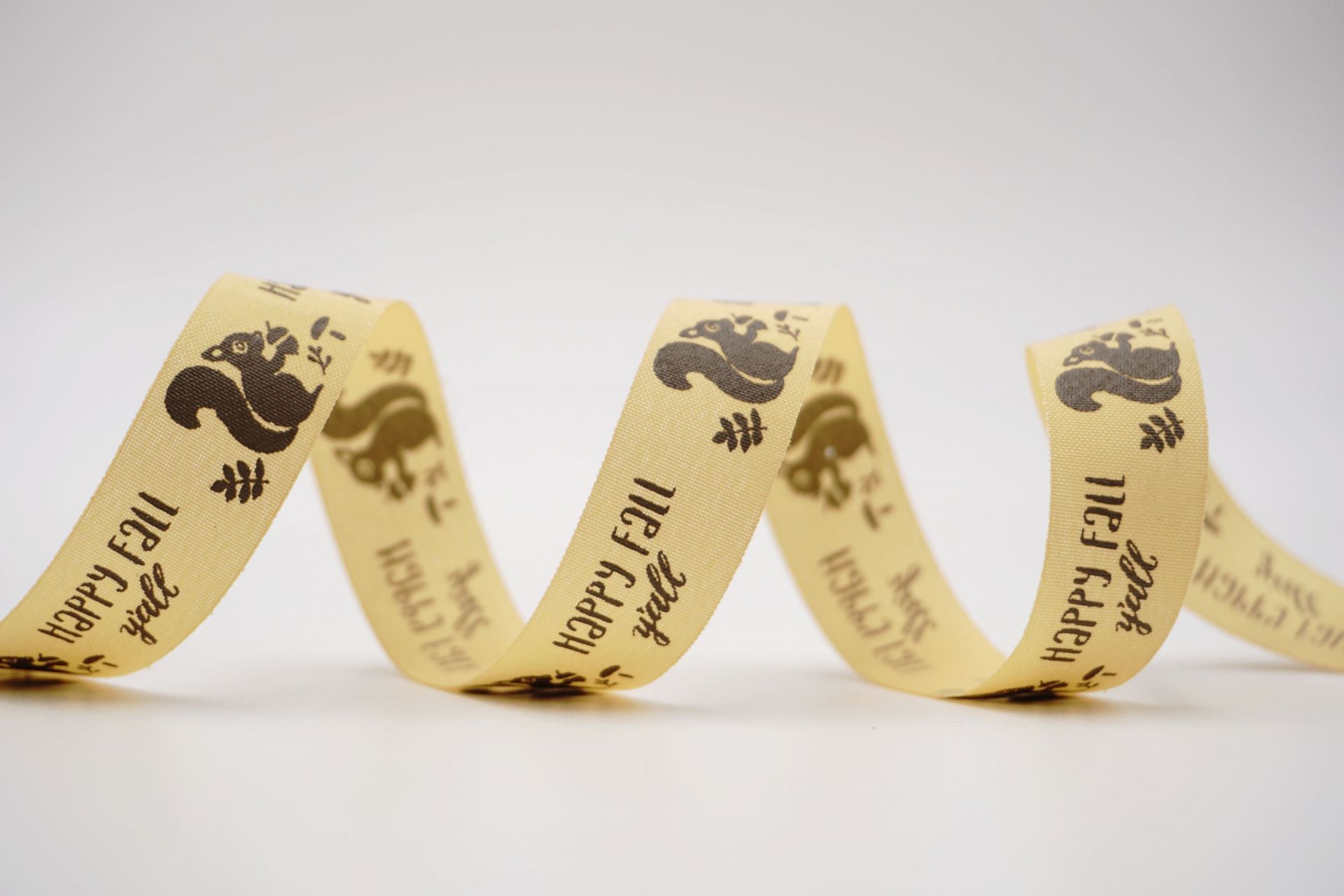 شريط السنجاب السعيد لفصل الخريف